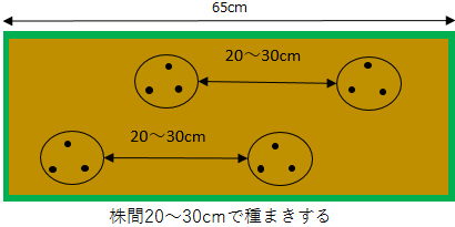 栽培図