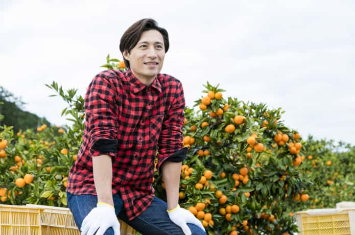 みかんの木の前にいる男性
