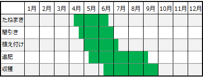 バジルカレンダー