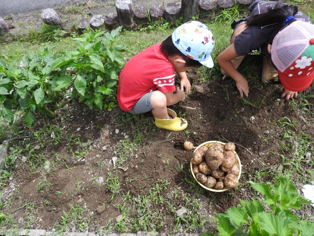 東京23区 市民農園で野菜づくりを始めよう 初心者でも育てやすいのは 農業 ガーデニング 園芸 家庭菜園マガジン Agri Pick