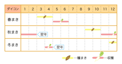 家庭菜園のプロ監修 失敗知らずのダイコン栽培 害虫対策やプランターでの育て方も 農業 ガーデニング 園芸 家庭菜園マガジン Agri Pick