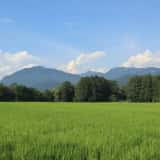 長野県の風景