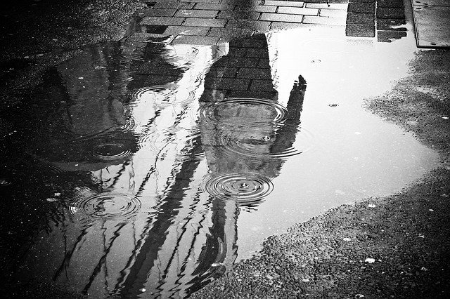 雨の日の水たまり