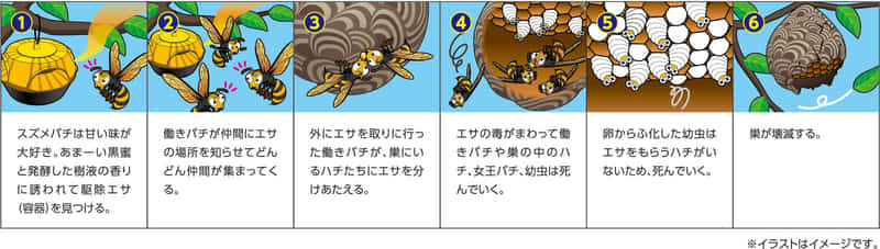 スズメバチ駆除剤の説明