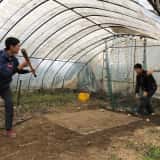 ハウスの中で野球をする少年たち
