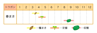 夏が旬 さっぱりおいしいトウガンの栽培方法 収穫や保存のコツも 農業 ガーデニング 園芸 家庭菜園マガジン Agri Pick