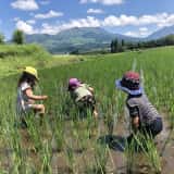 田んぼで遊ぶ子どもたち