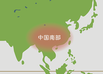 シュロチク&カンノンチクの原産地 地図