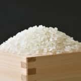 米生産量