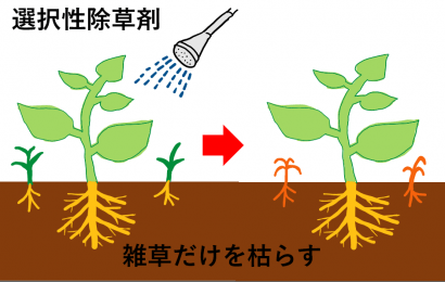 除草剤