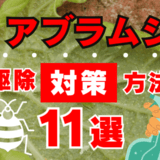 アブラムシ駆除対策11選