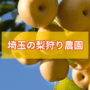 埼玉の梨狩り農園