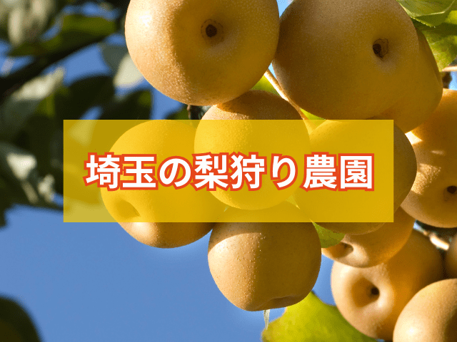 埼玉の梨狩り農園