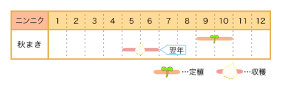 家庭菜園カレンダー ニンニク