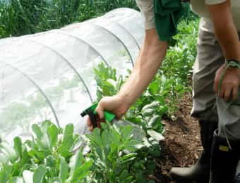 ストチューを野菜にかける