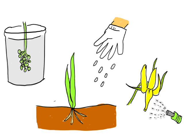 農薬はどうやって効くの 植物成長調整剤 農業 ガーデニング 園芸 家庭菜園マガジン Agri Pick