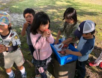 トマトを食べる子どもたち