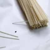そうめんの害虫　タバコシバンムシ