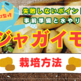 【家庭菜園のプロ監修】ジャガイモの栽培方法