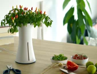 スウェーデン水耕栽培キット「BOTANIUM(ボタニアム)」