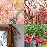4種類の花