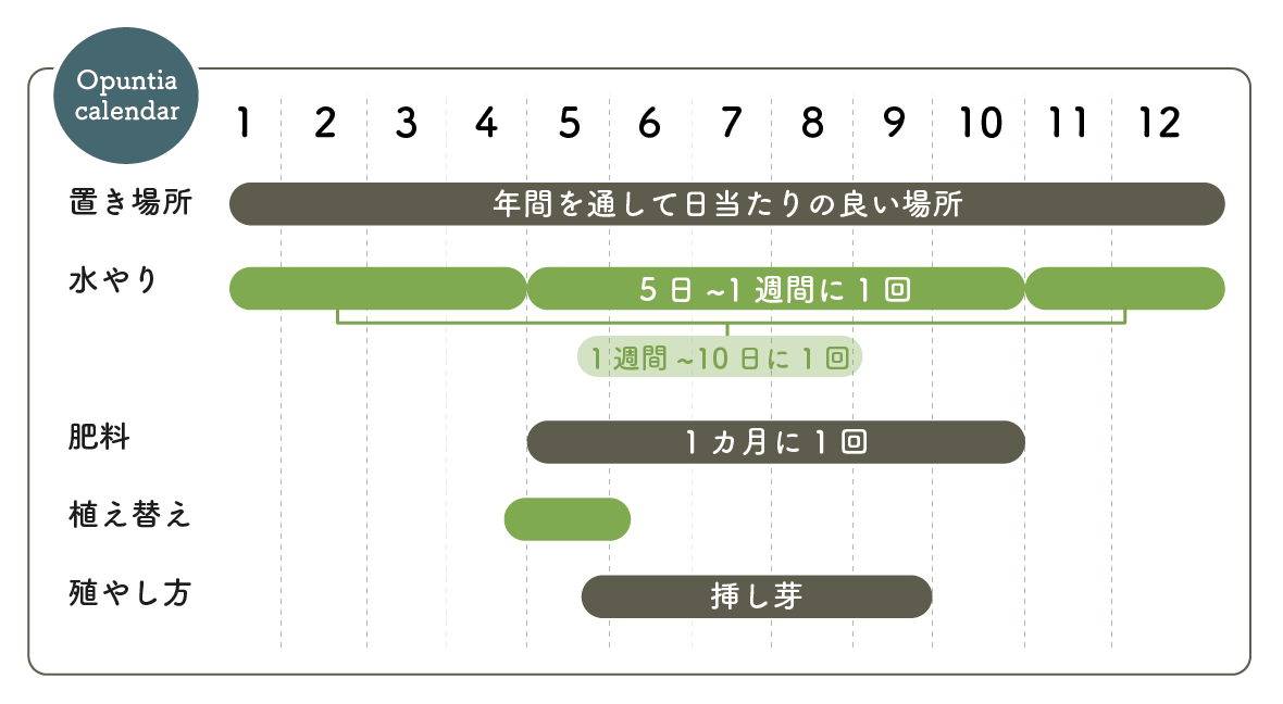 オプンチア栽培カレンダー