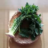 大根 葉