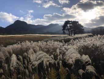 阿蘇のススキの風景