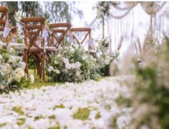 コロナ禍における2020年の生花業界の変化をレポート