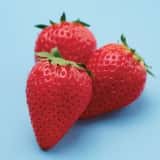 スカイベリー栃木プレミアム」が登場!