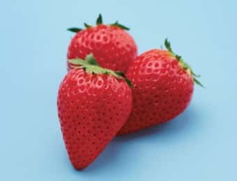 スカイベリー栃木プレミアム」が登場!