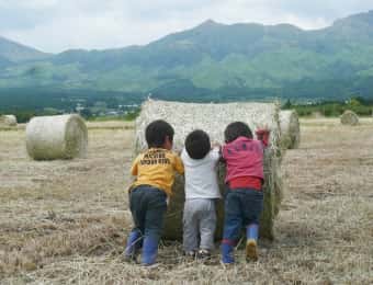 麦稈ロールを押す子どもたち