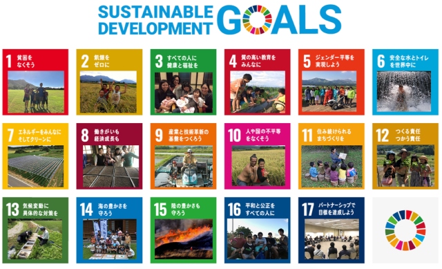 sustainable development goals