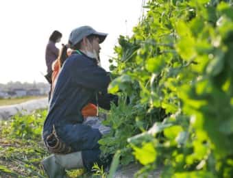 民間最大手の社会人向け週末農業学校アグリイノベーション大学校