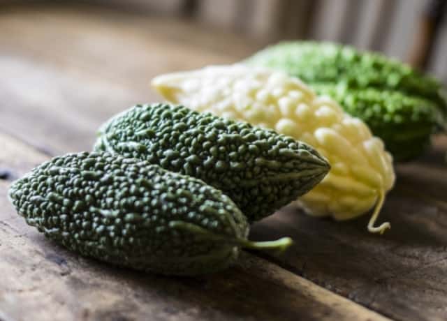 プランターでのゴーヤの育て方 支柱 ネットの使い方や栽培のポイントを菜園家が伝授 農業 ガーデニング 園芸 家庭菜園マガジン Agri Pick プランターでのゴーヤの育て方 支柱 ネットの使い方や栽培のポイントを菜園家が伝授 農業 ガーデニング 園芸 家庭菜園マガジン Agri Pick