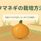 玉ねぎの栽培方法。菜園のプロが失敗しない育て方を解説！