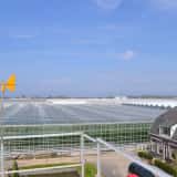 オランダの施設園芸