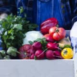 野菜の箱を持つ手