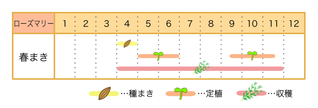 ローズマリー栽培カレンダー