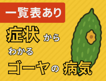 一覧表あり症状からわかるゴーヤの病気