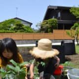 庭にいる二人の女の子