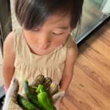 庭を見る子ども