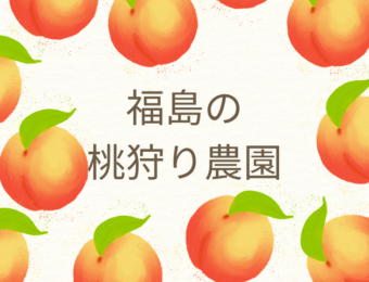 福島の桃狩り農園