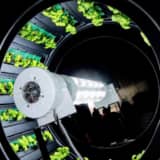 未来の農業のイメージ