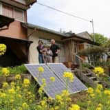 菜の花と太陽光パネル