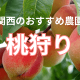 関西のおすすめ桃狩り農園