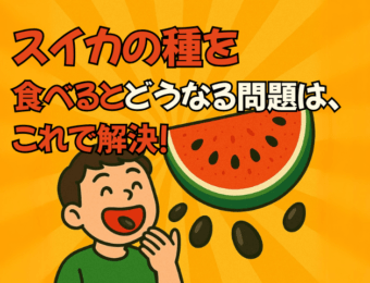 スイカの種を食べるとどうなる問題はこれで解決！