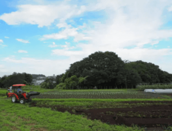 東京農業アカデミーほ場