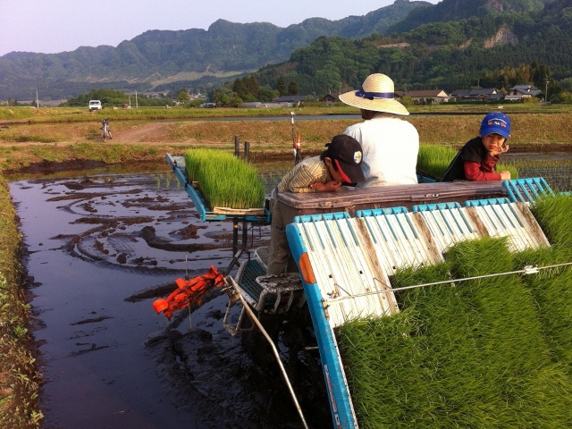 田植え機に乗る家族