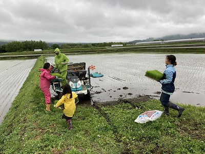 田植えの準備